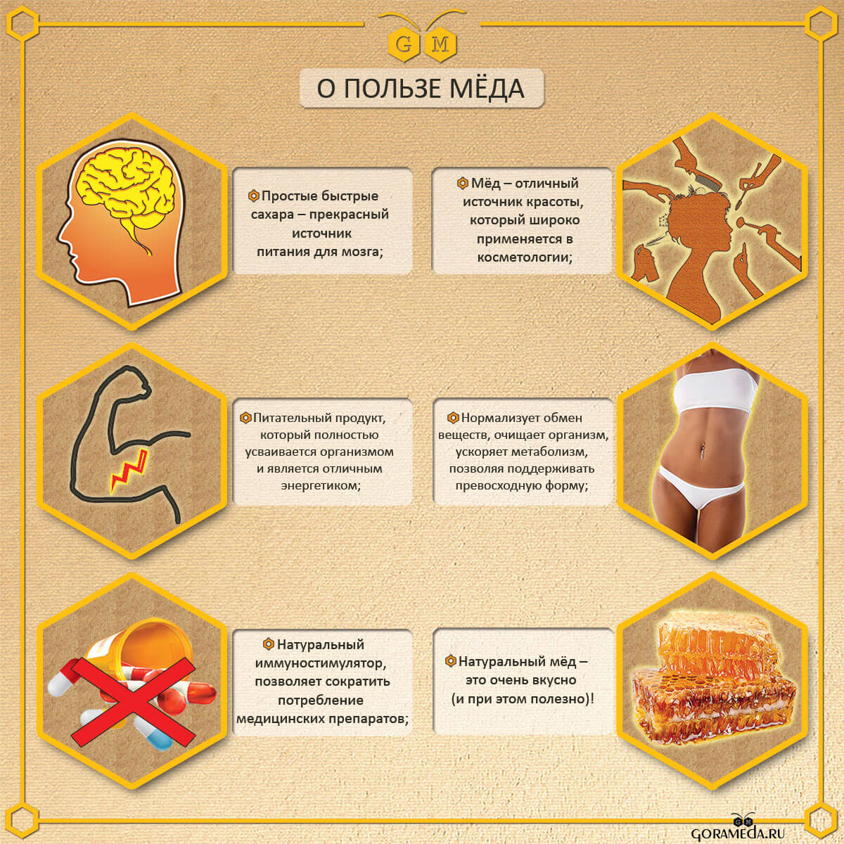 инфографика о пользе мёда от Гора Мёда
