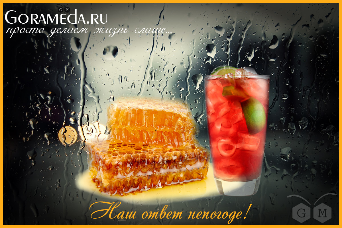 коктейль с клюквой и мёдом от gorameda.ru