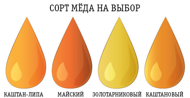 выбор сорта пчелопродукции для корпоративного подарка от gorameda.ru